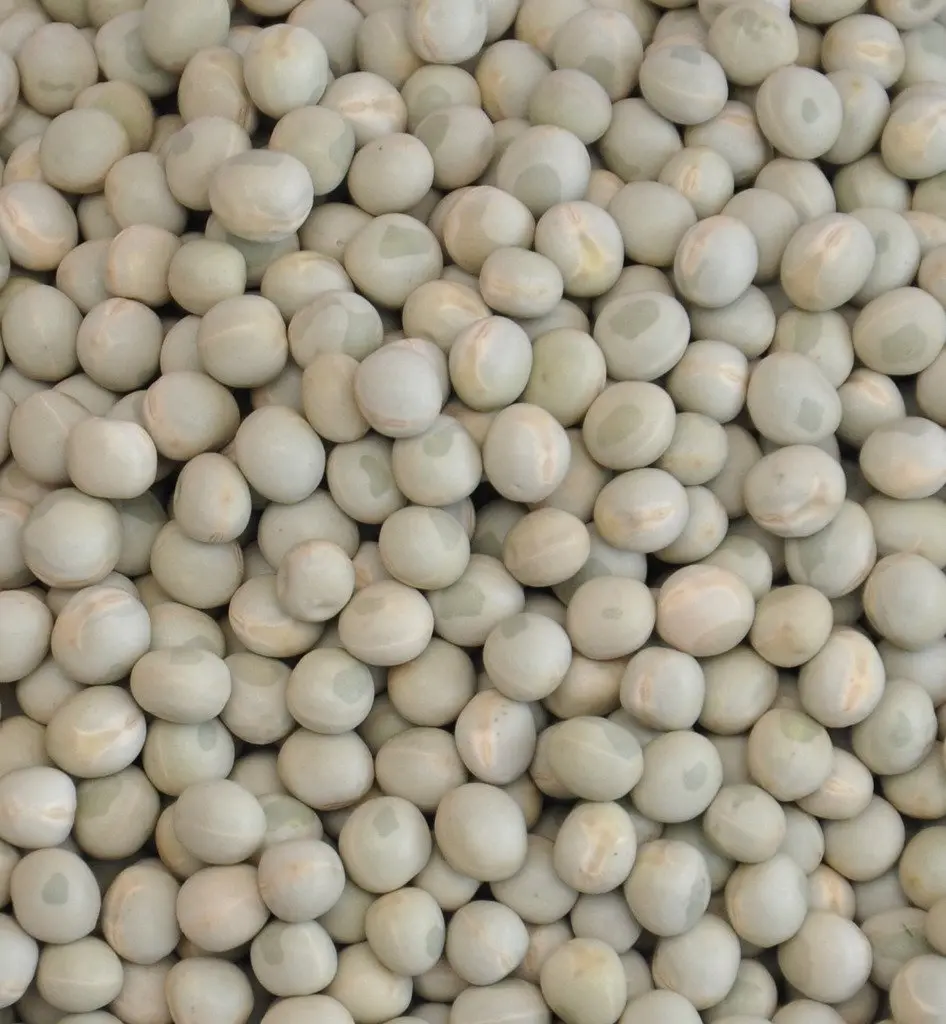 Throni Green Peas / Pachi Batanilu