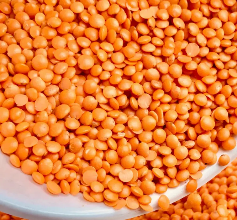 Masoor dal / Yerra Kandipappu