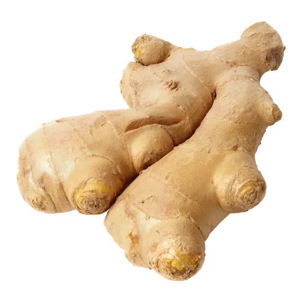 Ginger / Adarak / Allam