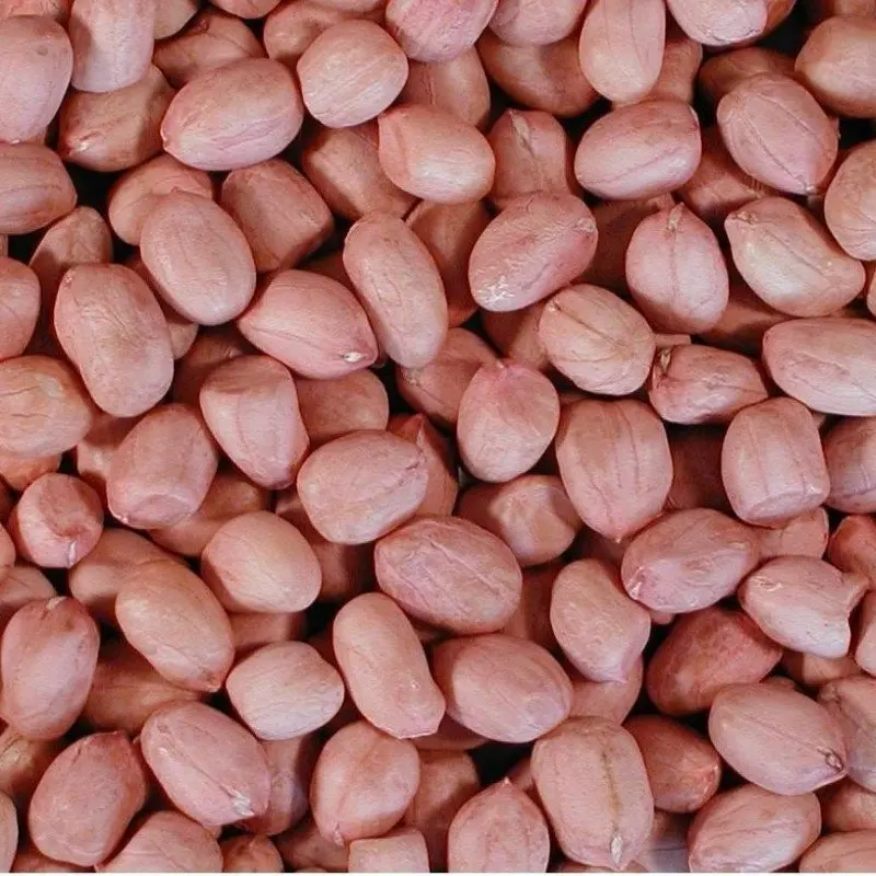 Ground nuts / Veru Senaga