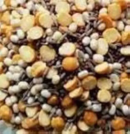 Talimpu Ginjalu (NSR)