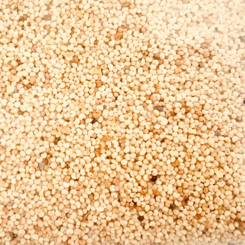 Poppy Seeds / Gasagasalu (Nani)