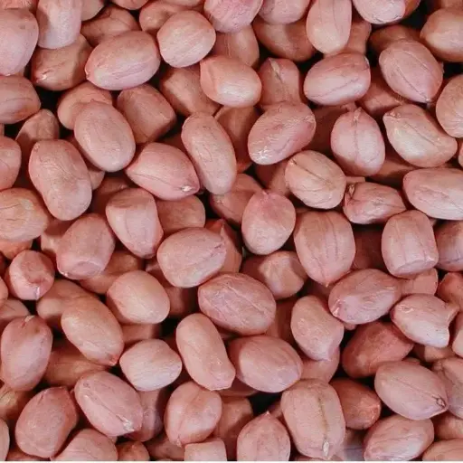 Ground nuts / Veru Senaga
