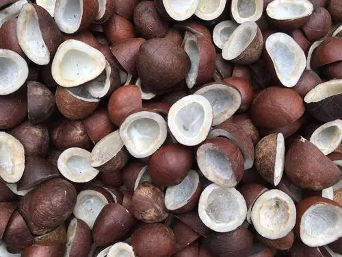 Dry Coconut