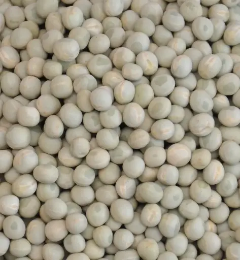 Throni Green Peas / Pachi Batanilu