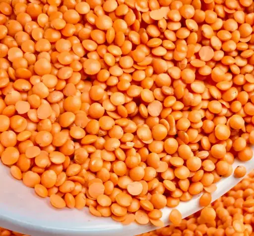 Masoor dal / Yerra Kandipappu