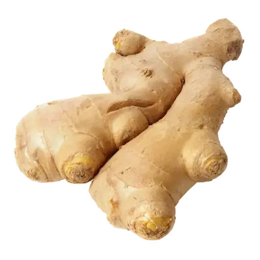 Ginger / Adarak / Allam