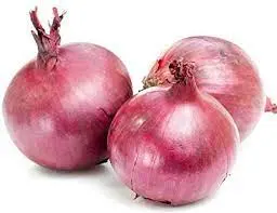 Onion / Ullipāya